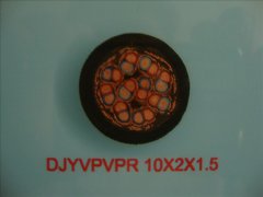 DJYVPVPR 10*2*1.5計算機(jī)屏蔽軟電纜