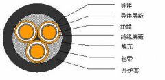 3*2.5，3*3，3*4，3*6，3*10，3*16，3*25屏蔽電纜結(jié)構(gòu)圖