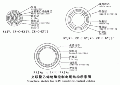 KYJV，KYJVP，KYJV22額定電壓0.6/1kV交聯(lián)聚乙烯絕緣控制電纜