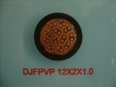 DJFPVP 0.3/0.5KV 12*2*1.0 計(jì)算機(jī)屏蔽電纜