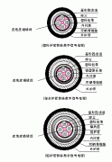 PTYA23、PTYA22鐵路鎧裝信號電纜